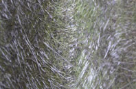 Tufton fibreglass roof work